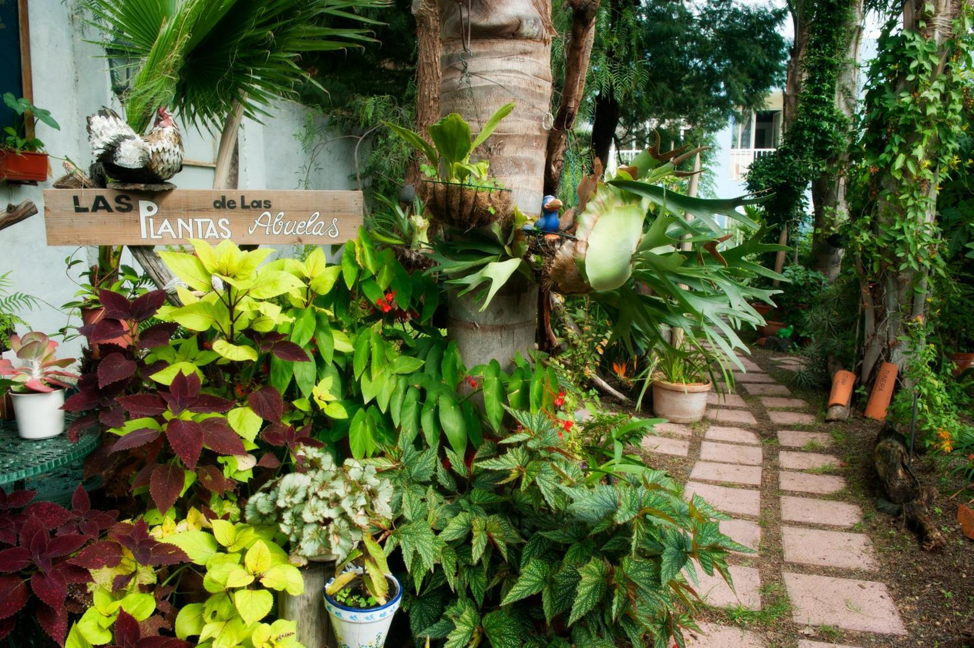 Apartamentos Adjovimar Los Llanos De Aridane Luaran gambar