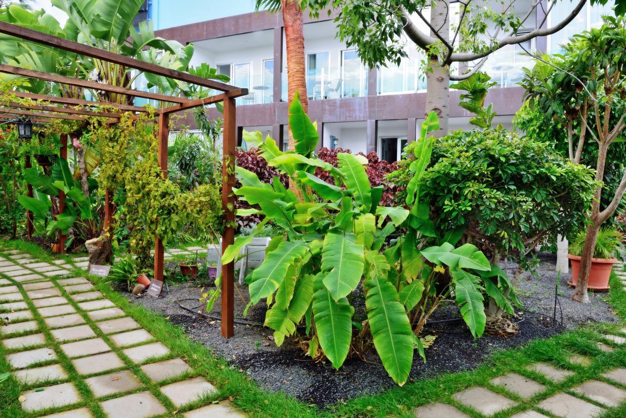 Apartamentos Adjovimar Los Llanos De Aridane Luaran gambar