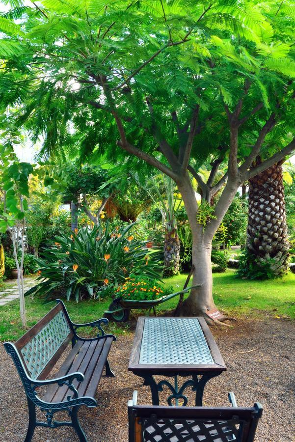 Apartamentos Adjovimar Los Llanos De Aridane Luaran gambar